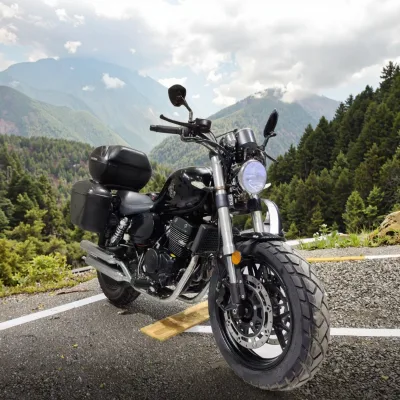 250cc Retro 2-wheel Gas Off-road Locomotive Gasoline Motorcycle Parallel Bars Dual Dual Exhaust