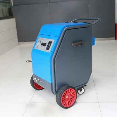 Portable Dry Ice Cleaner for Car Interior and Exterior Stain Removal