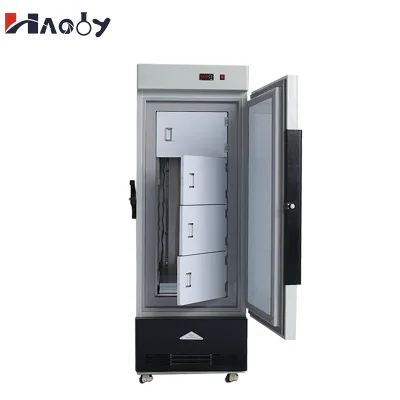 ISO Certified 158L Medical Laboratory Freezer-Adjustable Temperature Range -40C -86C Steel Construction 1 Year