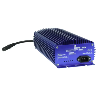 600W/1000W Electronic Ballast for High Pressure Sodium Lamp for Grow Light Both and Low Frequency Available