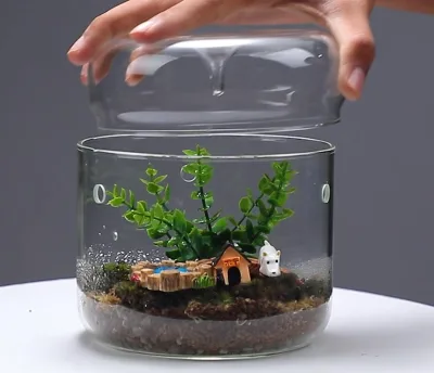 Micro Landscape Ecological Bottle Fish Tank Glass Terrarium Container Decorative Landscape Bottle Ecological DIY Plant Vase