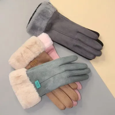 Wholesale Women's Winter Warm Lady`s Cute Thick Windproof Touch Screen Gloves