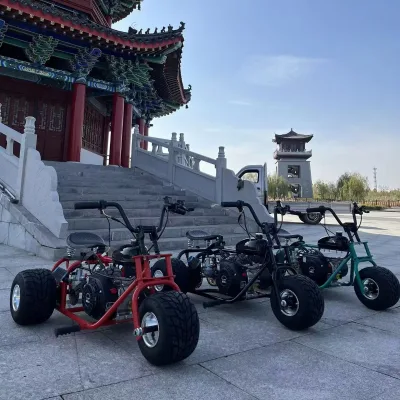 2026 New Arrival 212cc 7.5HP 4-Stroke Multi-Terrain Drift Tricycle Snow Road Park Racing Kart 60km/h with Dual Drift Rings