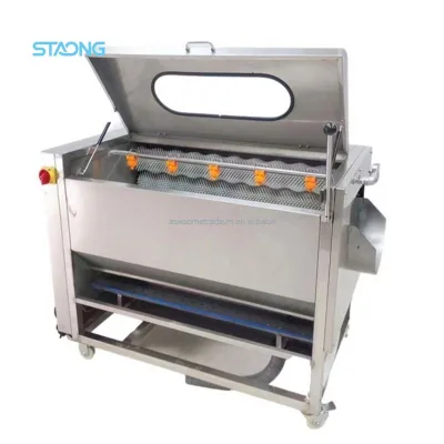 High Productivity Coconut Potato Cassava Sweet Potato Carrot Beet Skin Brush Wash Peeler Machine 220V
