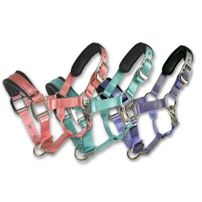 Horse Accessories Wholesale High Quality Horse Halter Padding Manufacturer Custom Tedron Padded Horse Halter