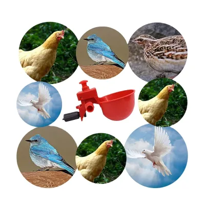 Drinker Cup with Spring /Chicken Feeder Cup / Chicken Drinker Feeder