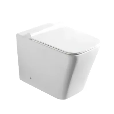 Modern European Style Ceramic Sanitary Ware Floor Mounted WC Concealed Tank Two Piece Structure for Home Hotel Bathroom P-Trap
