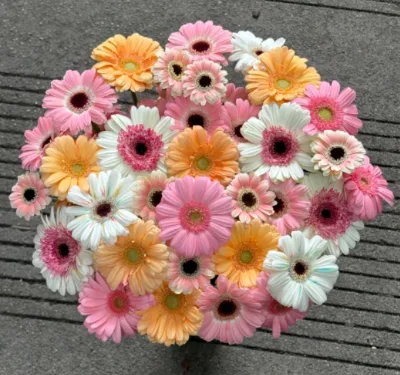 Newest Hot Selling High Quality Fresh Cut Fresh Gerbera Flowers Export for Wedding Home Party Decoration