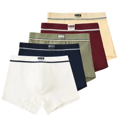 Multicolored Factory Price Wholesale New Type 5-pack Boxers Middle School Clothes for Little Boys Underwear