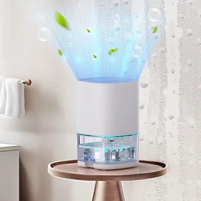 Hot Selling DC 9V Custom Dehumidifiers Small Dehumidifying Shoe Dehumidifier