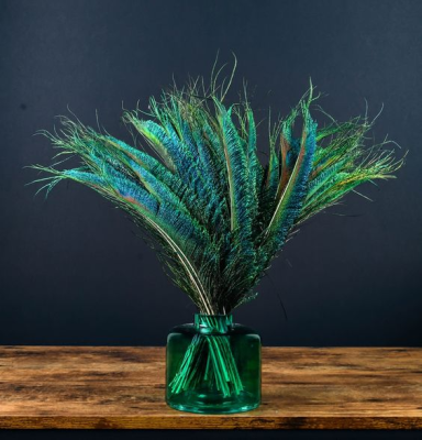 Christmas Ornaments Bulk Real Dyed Feather Crafts Peacock Home Decor Natural White Peacock Feather for Home Decoration