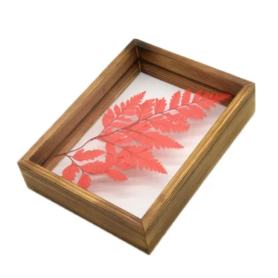 Natural Wood Color With Double Organic Glass Plant Specimen Floating Shadow Box Photo Picture Frames for Tabletop Decor