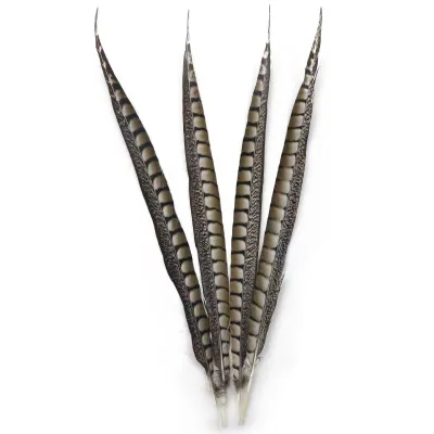 Wholesale 16-24 Inch Pheasant Lady Feather Natural Pheasant Feathers Pheasant Tails