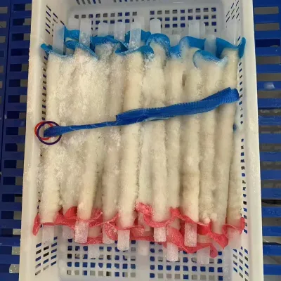 Natural Sheep Pig Hog Sausage Casings Tubed Overlap in Brine