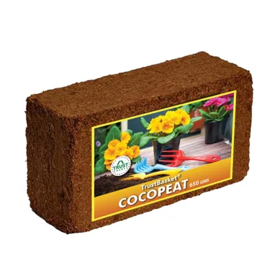 Ready to Ship RTS USA Canada Raw Bulk Wholesale Coir Coconut Coco Peat