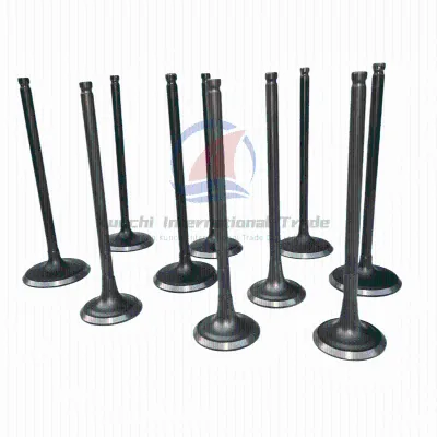 OEM 13201-35U00 13202-35U00 Engine Intake Exhaust Valves Seal for Nissan VQ25 Teana Auto Parts Replacement VQ25DE
