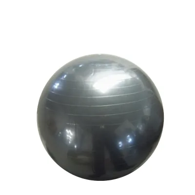 PVC Soft Weighted Gymball for Fitness Exercise Use