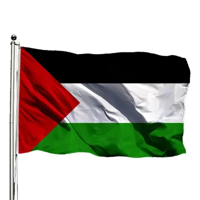 Custom Outdoor Palestinian Country 3x5 Feet 90x150cm Polyester National Palestine Flag With 2 Brass Grommets