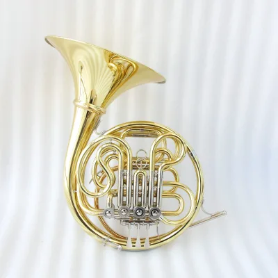 Professional F / Bb Separated Bell Chinese French Musical Instrument Horn Instrument with French Horn Accessories for Sale