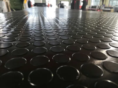 Coin-Grip Non-Slip Rubber Tread Stair Mats Designed for Standard Stair Edges on Indoor Stairs