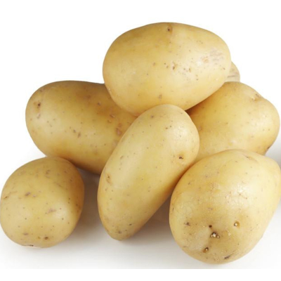 New Harvest  Fresh Potato