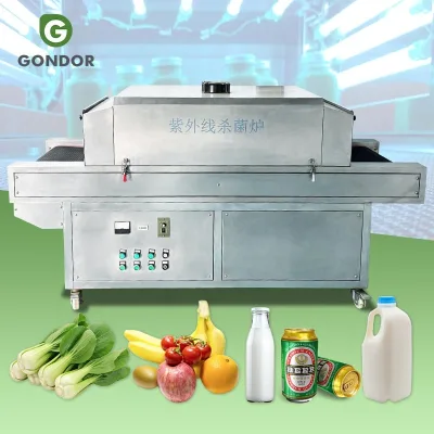 Bread Post-Process Equipment Water Liquid Sterilization Tunnel Conveyor Belt Food Package Sterilizing Machine
