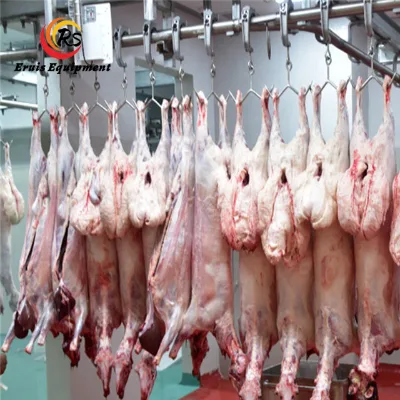 Nanjing Eruis Co.,Ltd 300-1000 BPH Mobile Slaugheter House for Chicken Poultry Equipment