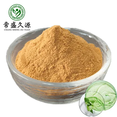 Hot Selling Phyllanthus Urinaria Extract Powder 10:1 20:1 Cosmetic Grade 1kg Drum Packaging