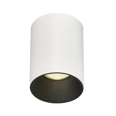 Flicker Free Dimmable 40W White Finish Trimless Full Spectrum COB Surface Mounted LED Light