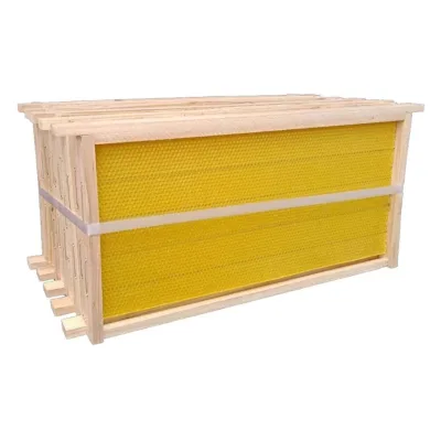 5pcs Plastic Beehive Kit with Waxed Foundation Frames New Condition Beeswax Coated Beeswax Foundation Sheet Beekeeping Tools