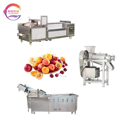 Automatic Fruit Pitting Machine Fruit Bubble Washing Machine 500kg Plum Peach Cherry Nama Juicer Extractor Machine