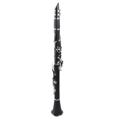 New Design Popular High Quality 17 Key Bb Clarinet Woodwind Musical Instrument Clarinet