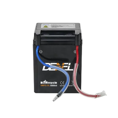 DENEL 6MF2.5L 12V New Maintenance Free Battery High Strength Continuous Cast Grid Export Battery Matching Acid Liquid