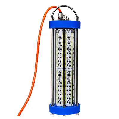 Ip68 60W 28V 800W 500W 4000W 3000W Marine Dc 12V Blinking Colored Fish Eye Sea Deep Drop Under Water Led Flood Lamp for Fishing