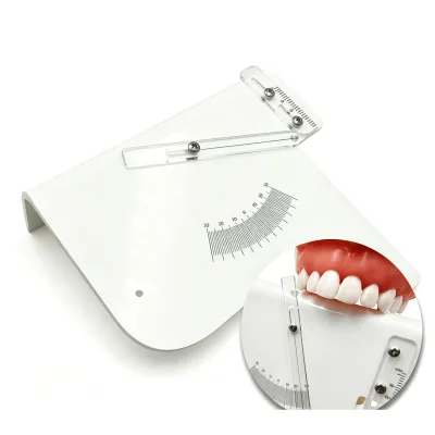 Oral Care Dental Technician Molar Measurement Ruler Orthodontic Model Ruler Andrews' Six Elements Molar Torque Measuring Gauge