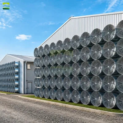 Turnkey 100000 Heads Laying Hen Farm Solution Full Automatic Layer Husbandry Equipment for Commercial Egg Production Facility