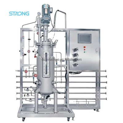 Automatically Controlled Sterile Stainless Steel 100L Industrial Commercial Use PLC-controlled Fermentor Bioreactor High Pump