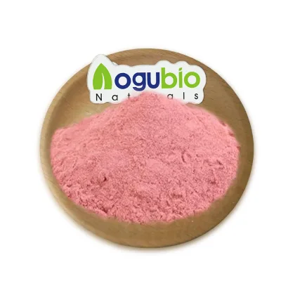 High Quality Food Grade Pure Sakura Flower Extract Sakura Powder