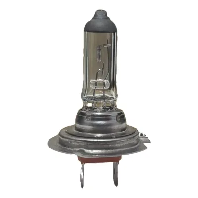 Chinese Factory High Quality H1 H3 H4 H7 Halogen Bulb 12V 25W/40W/ 60W for Japanese cars