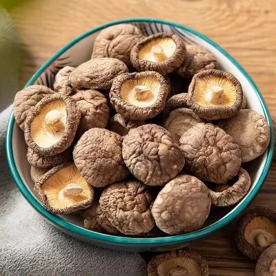 Gaishi Dried Shitake Plant-Based Protein Source Whole Shiitake Umami Rich Food Service Industry BRC Certified