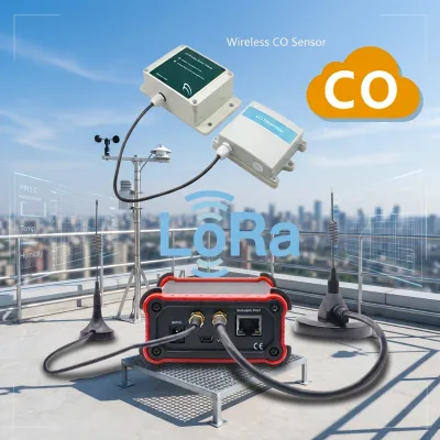 Wireless CO Sensor Carbon Monoxide Detector LoRa Transmission Plastic Housing Industrial Monitoring System