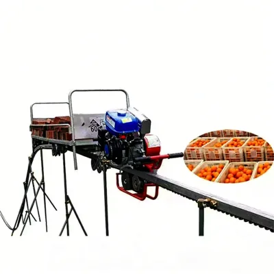 Specialized Strawberry Monorail Conveyor: Professional Orchard Transport Equipment for Damage-Free Fruit Handling and Harvest