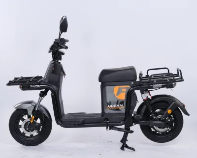 High Quality 1000W 60V Electric Food Delivery Bike 3-Speed Digital Smart Steel Frame 16 Inch Cargo Carrier Hydraulic Disc Brakes