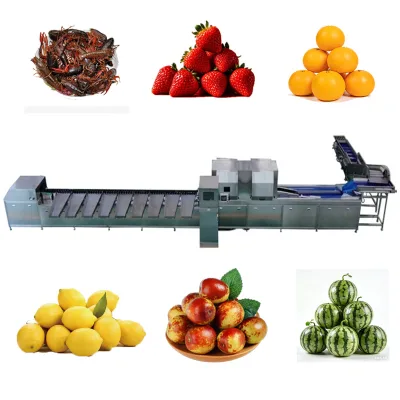 Sweet Potato Washing Machine with Integrated Sorting Features for Easy Handling