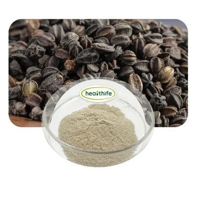Healthife Food Grade Herbal Supplement ISO Certified Purity Organic Siberian Ginseng Powder