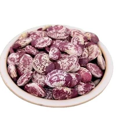 Pinto Beans