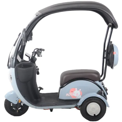 Semi-enclosed 48v 500w 750w Front Drive Motor Three 3 Wheel Fat Tire Tyre Cargo Trike Electric Tricycle Electric Bike for Man