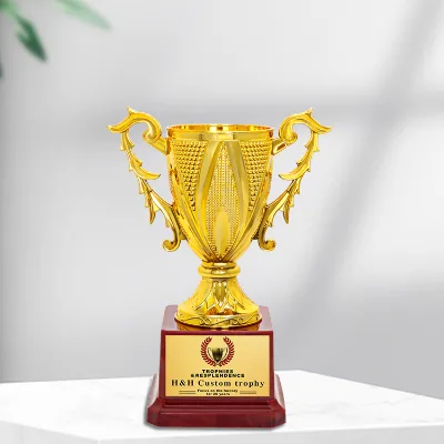 Best Plastic Customized Golden Trophies Trophy