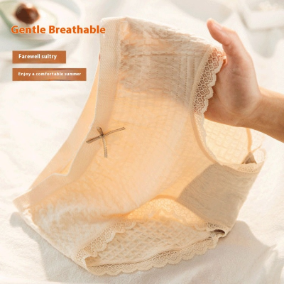 Wholesale Breathable Comfortable Soft Graphene Panty Anti Microbial Lace Design Mid Rise Panties Women Underwear