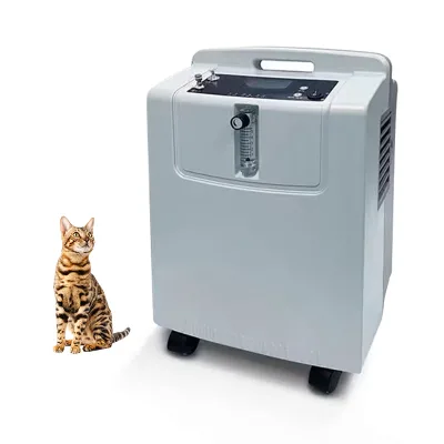 IN-5KW 5l Stationary Veterinary Oxygen Concentrator Testing Equipment High Purity 93 Percent Adjustable Flow